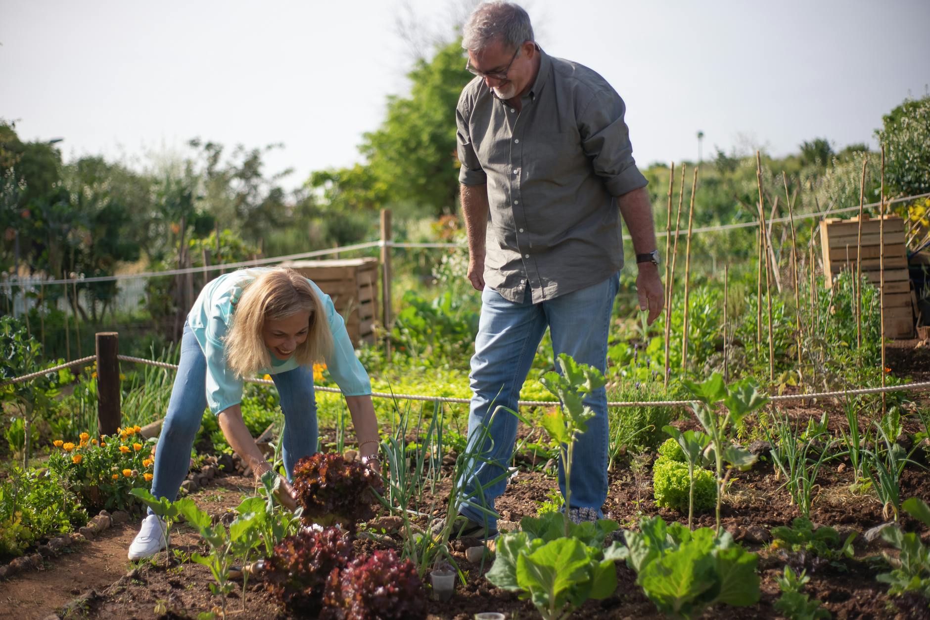 How To Build a Simple DIY Compost Bin & Start Composting at Home Transform kitchen scraps and yard waste into nutrient-rich compost with this easy, affordable DIY composting guide.