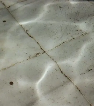 A detailed guide to transforming dingy, stained grout back to pristine white with proven methods and products