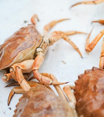 Mel’s Crab Salad: A Refreshing Take on Classic Seafood Salad
