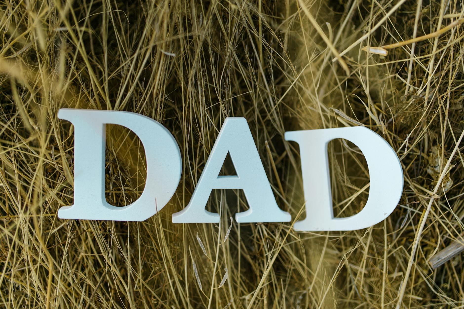 What to Write in a Father’s Day Card: Heartfelt Messages, Quotes & Creative Ideas Find the perfect words for every dad—heartfelt, funny, and meaningful messages for every Father's Day card.