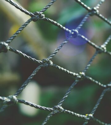 DIY Diamond Wire Trellis: A Beginner-Friendly Garden Project