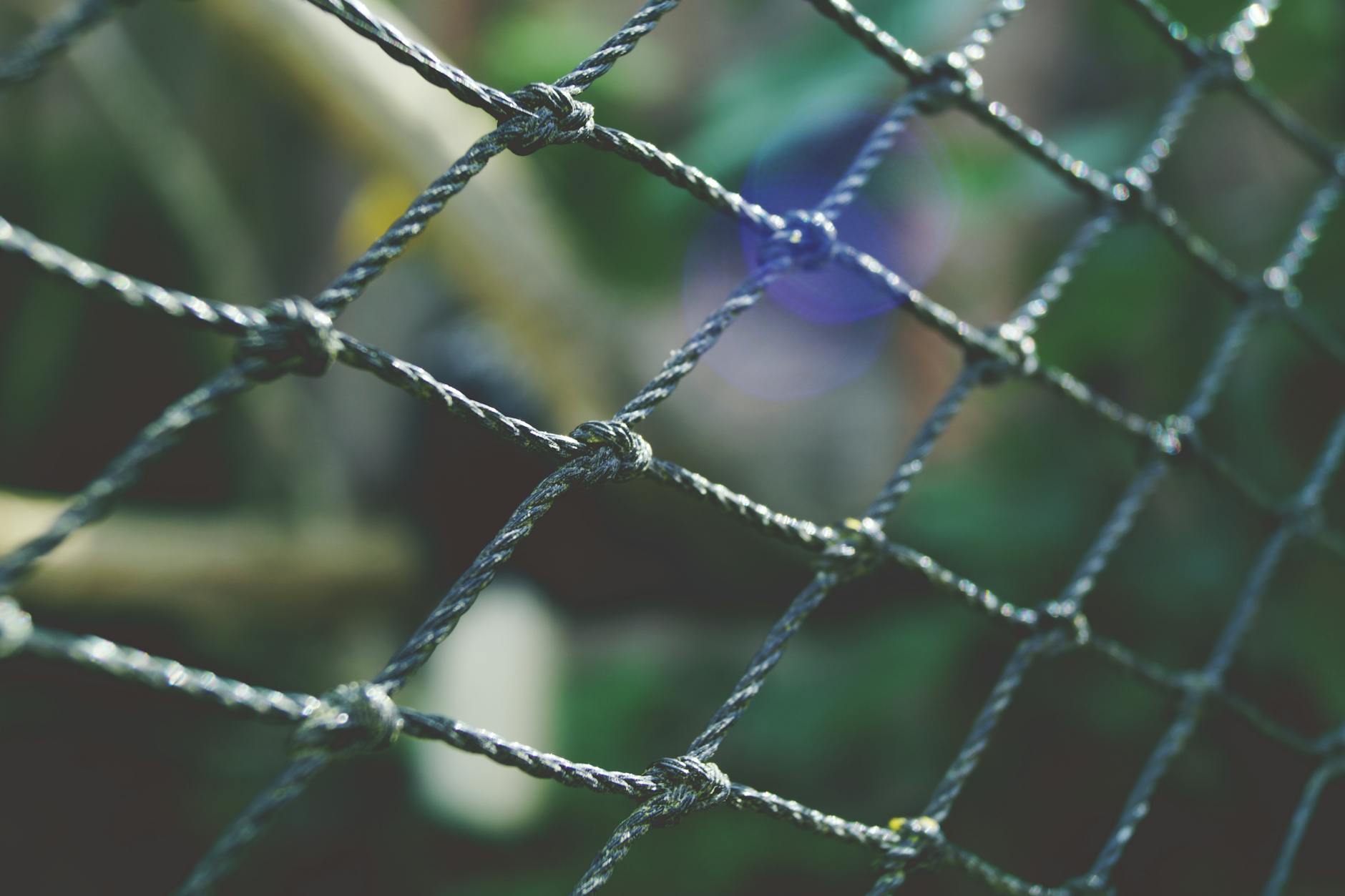 DIY Diamond Wire Trellis: A Beginner-Friendly Garden Project Transform your garden or exterior walls with this elegant, customizable wire trellis for climbing vines