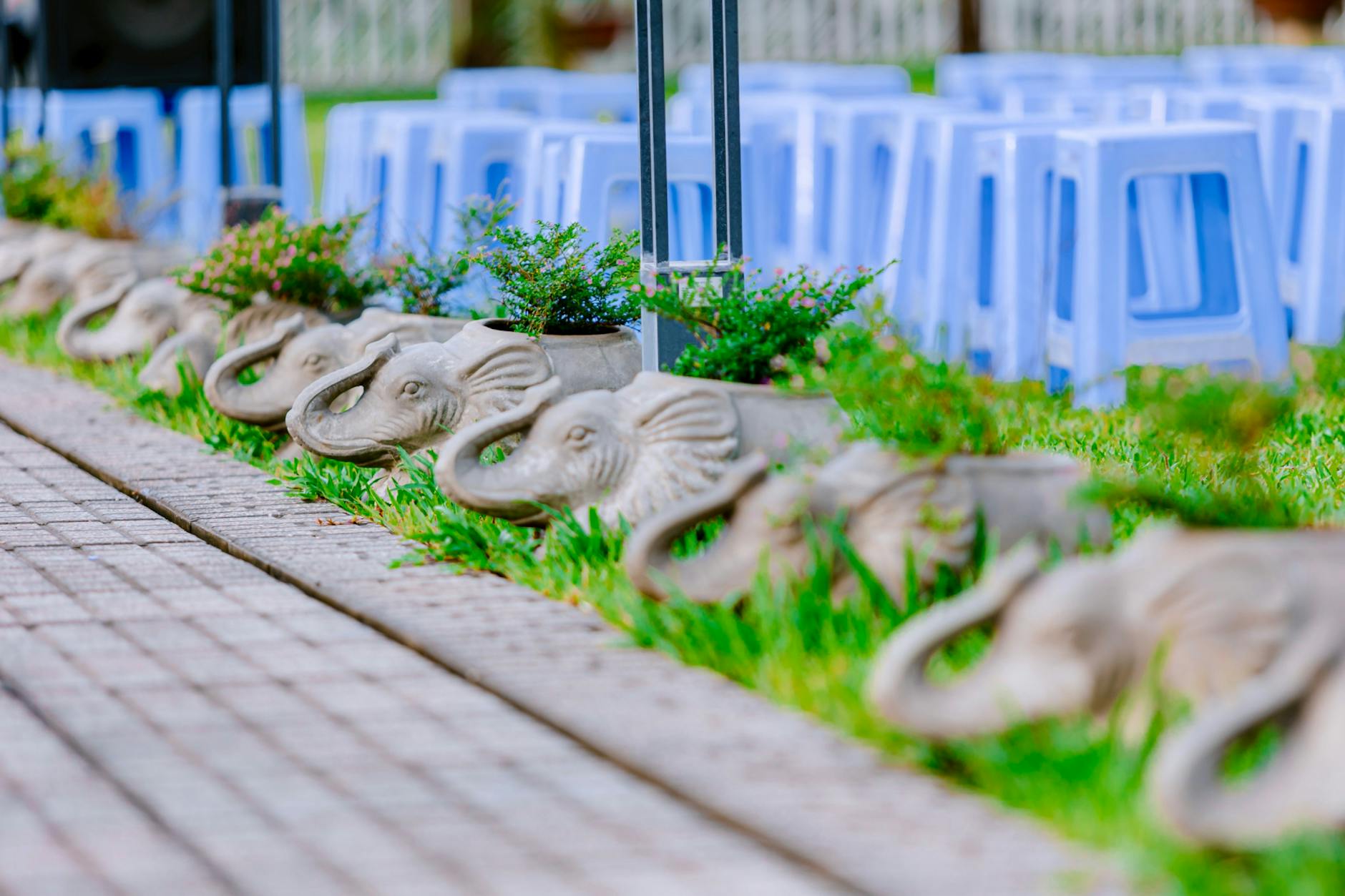 Landscaping for Privacy: Practical Ideas for Creating Secluded Outdoor Spaces Explore creative solutions and strategies to add privacy to your backyard or garden, using plants, structures, and thoughtful design.