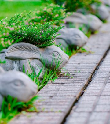 30 Creative Garden Edging Ideas for Every Landscape and Budget
