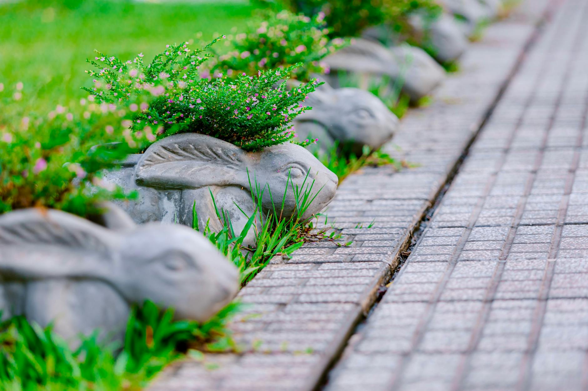 30 Creative Garden Edging Ideas for Every Landscape and Budget Define your flower beds, paths, and lawn with these inspiring and practical garden edging ideas suitable for any style or budget.
