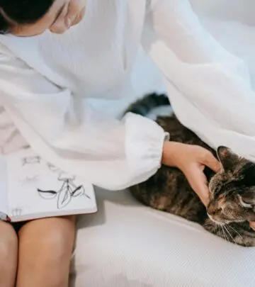 Discover the fascinating coat patterns that make tabby and calico cats uniquely beautiful companions