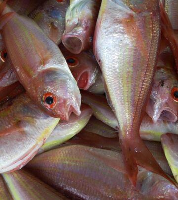 Pan-Fried Blackened Red Snapper: A Flavorful Seafood Classic