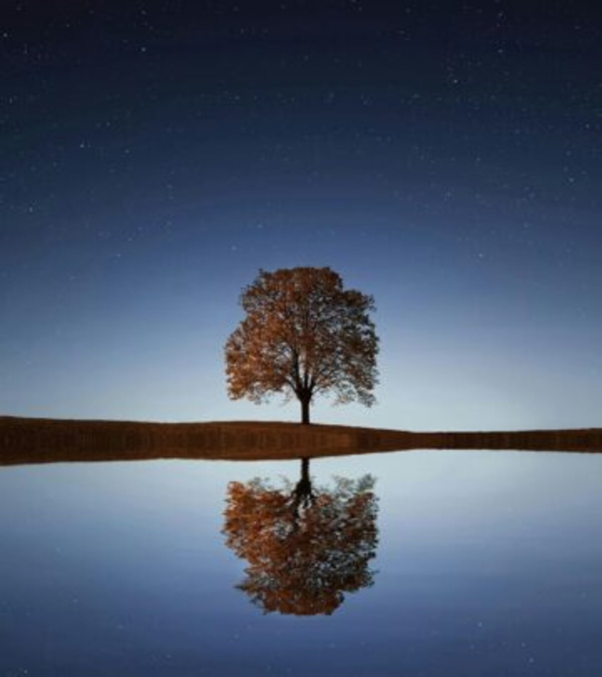 Find your favorite moon-inspired sayings and captions for Instagram or reflect on the eternal beauty of the night sky.