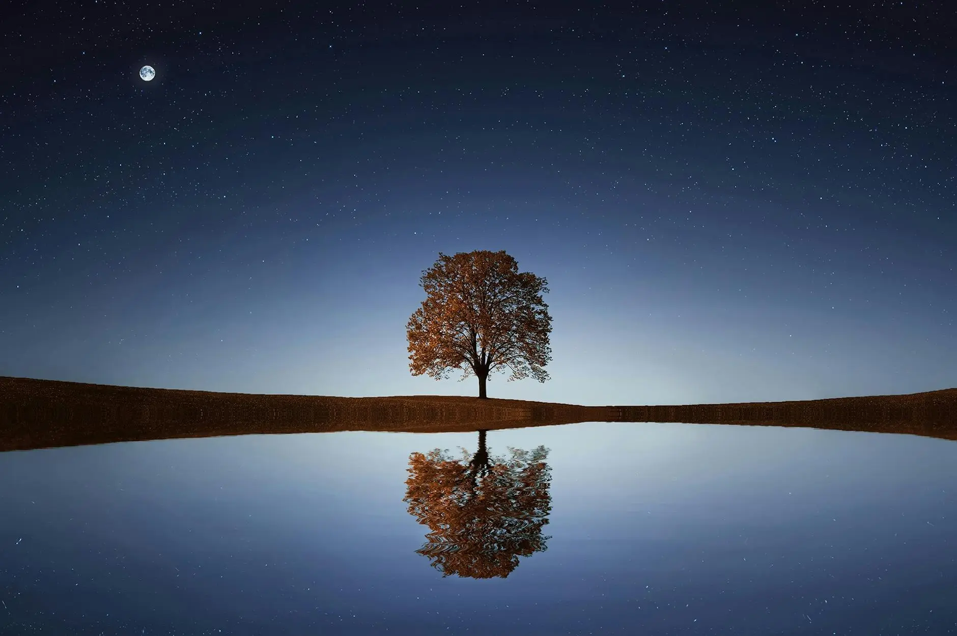 75 Inspiring Moon Quotes and Captions for Every Night Sky Moment Find your favorite moon-inspired sayings and captions for Instagram or reflect on the eternal beauty of the night sky.