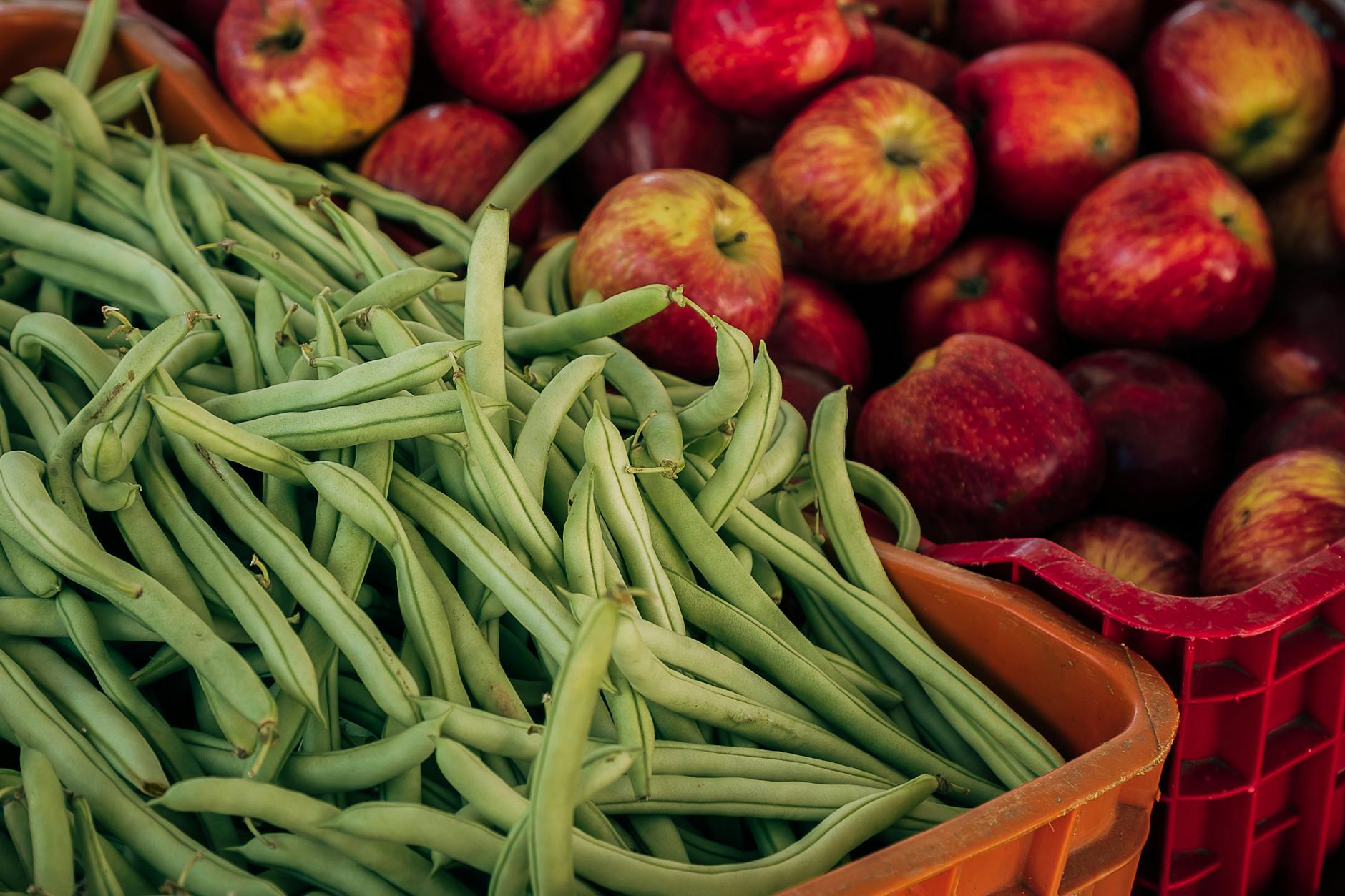 Classic Green Bean Casserole: A Timeless Favorite for Every Table Classic Green Bean Casserole: A Timeless Favorite for Every Table_image