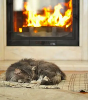 Transform your living space with cozy, stylish designs that spark warmth and comfort.