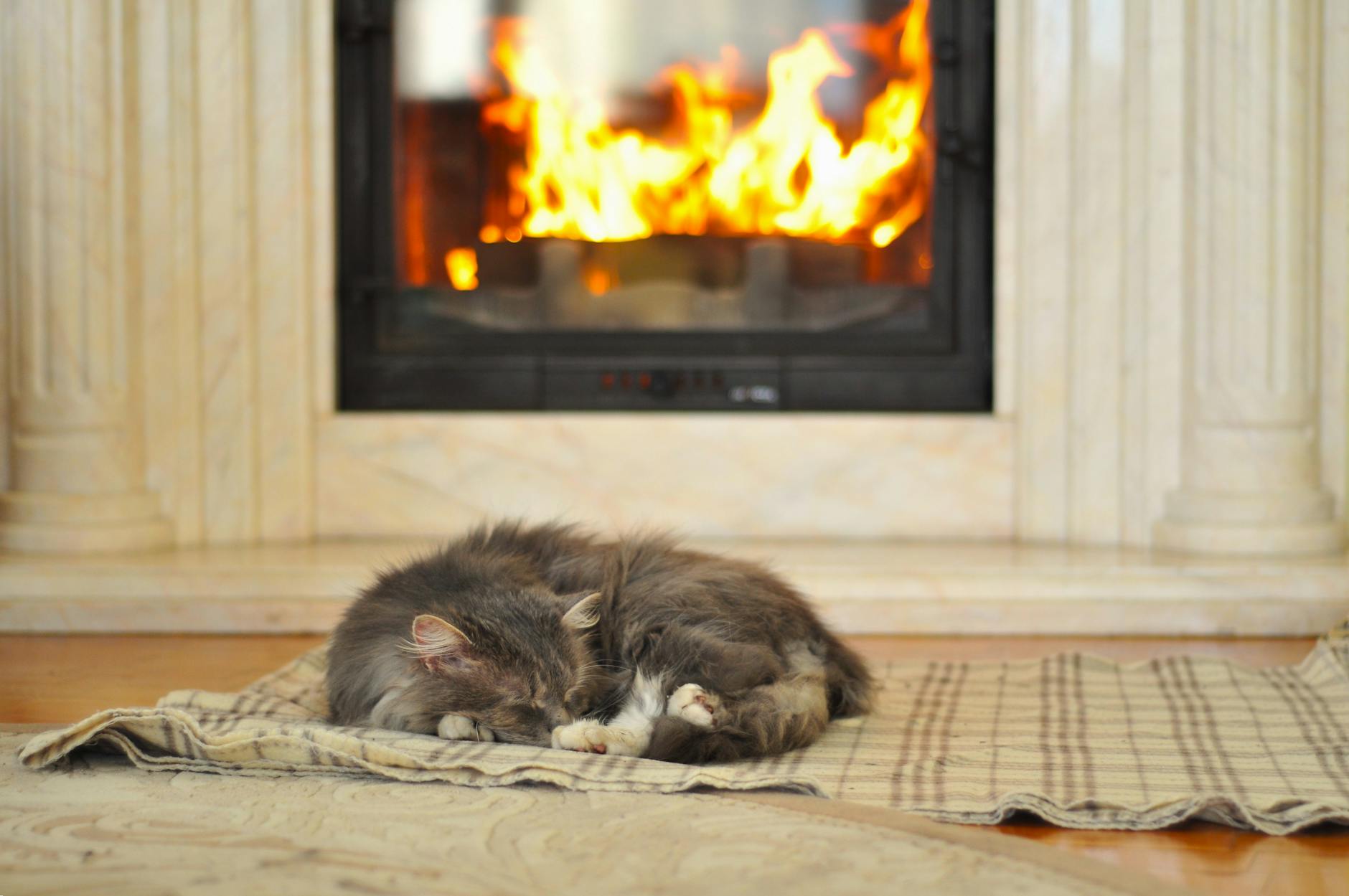 20 Inspiring Fireplace Hearth Ideas to Transform Your Living Space_image