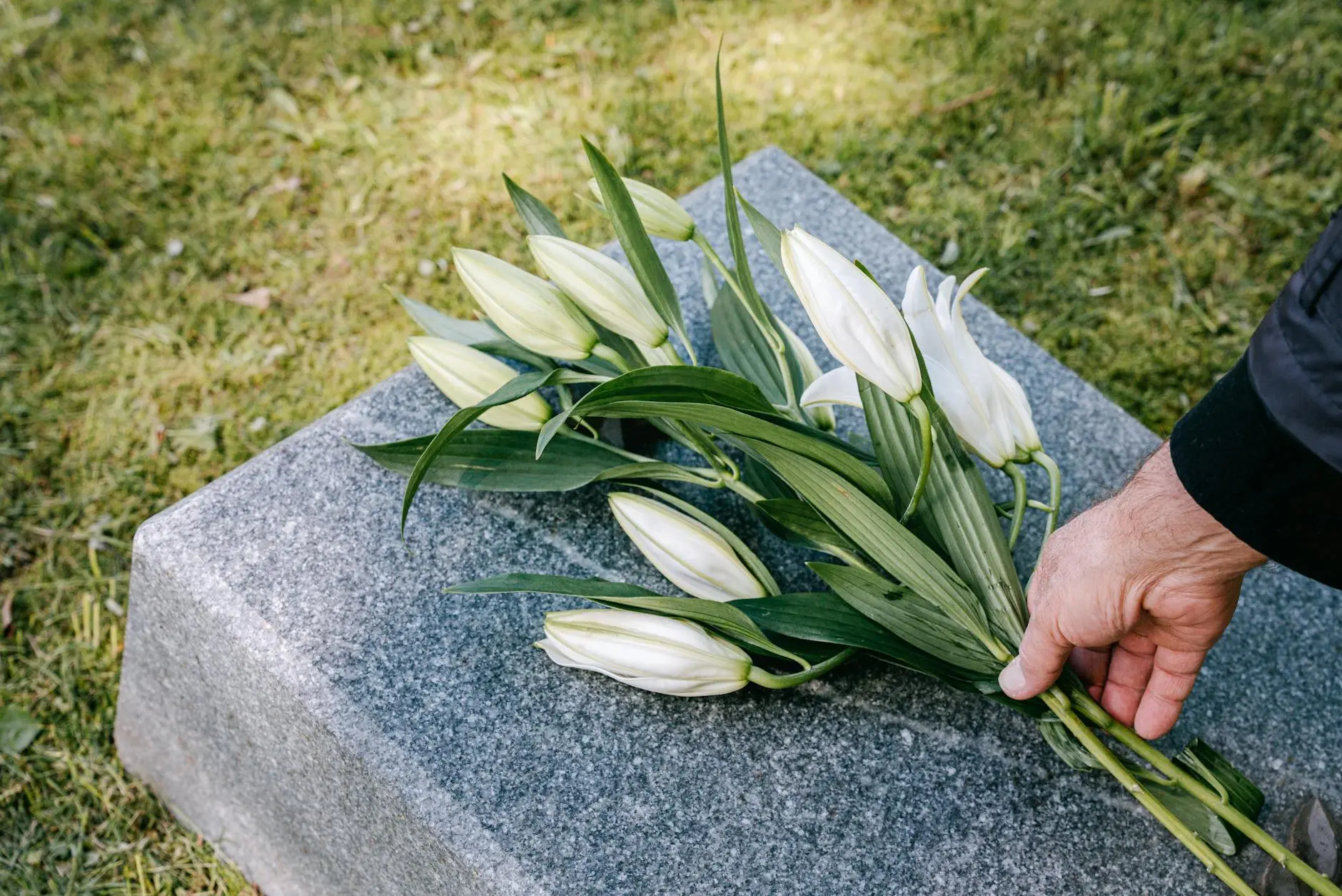 Unlock the rich history, cultural significance, and care tips for lily of the valley