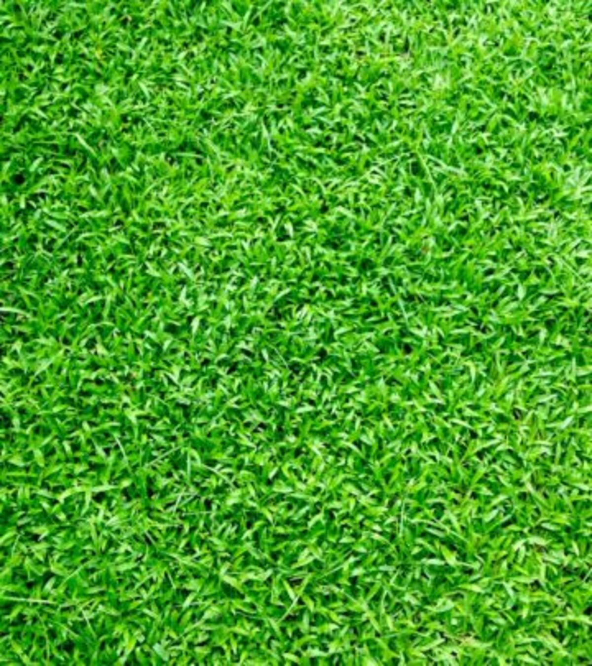 Side Yard Landscaping Ideas: Expert Tips For Charming Spaces Discover creative ways to transform your narrow side yard into a functional and beautiful outdoor space