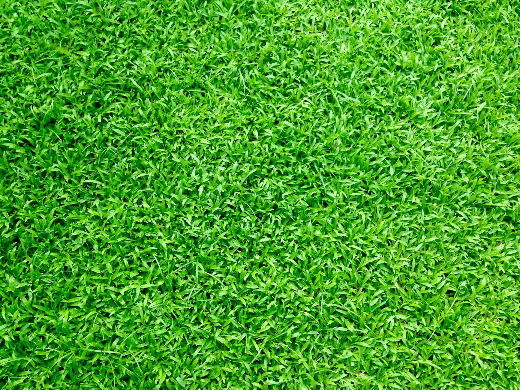 Side Yard Design: Transforming Neglected Spaces into Garden Gems Discover creative ways to transform your narrow side yard into a functional and beautiful outdoor space