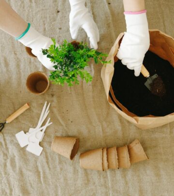 Creating the Perfect English Garden: Plants, Design & Style