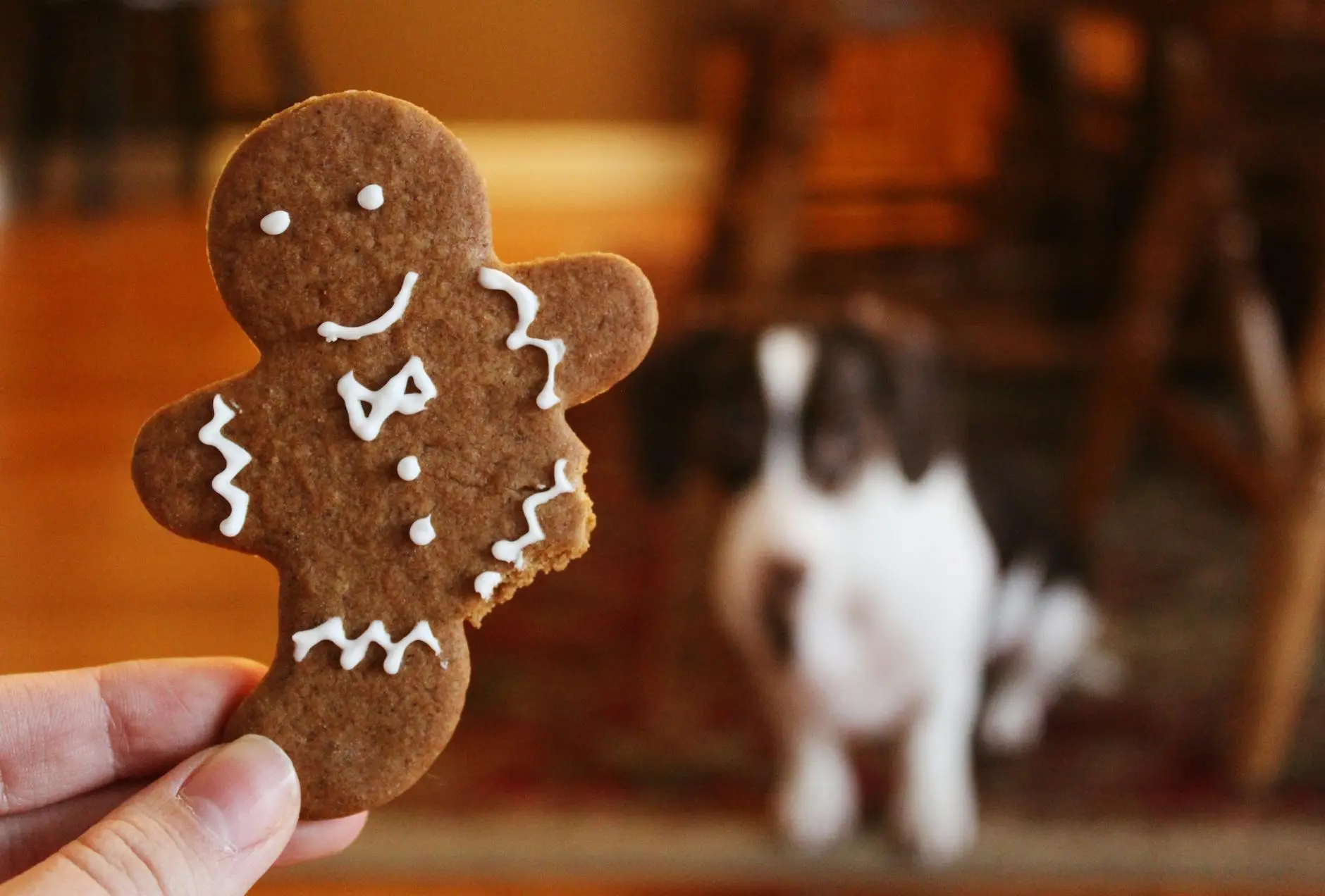 Can Dogs Eat Cinnamon? Safety, Benefits, and How Much Is OK Wondering if cinnamon is safe for your dog? Get the facts on cinnamon for dogs: safety, benefits, risks, and smart serving tips.