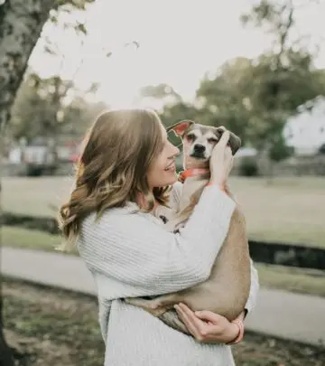 Exploring the myths and facts about reproductive aging in female dogs compared to human menopause