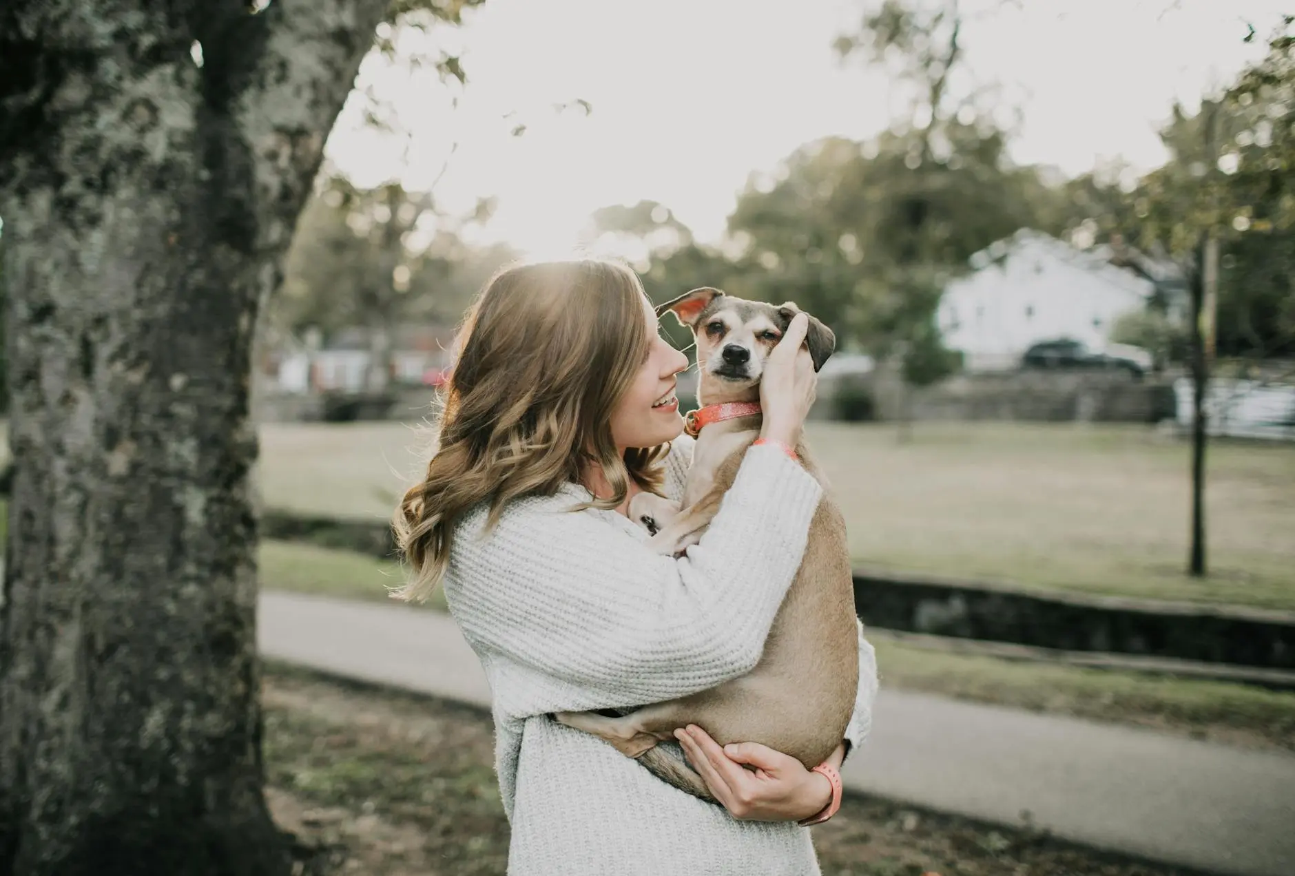 Do Dogs Go Through Menopause? Understanding Canine Reproductive Aging Exploring the myths and facts about reproductive aging in female dogs compared to human menopause