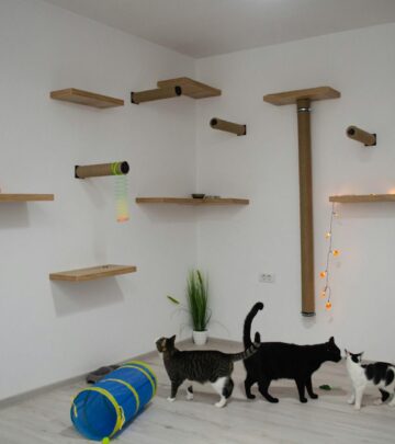 Puzzle Feeders for Your Cat: Enrichment, Health, and Happiness