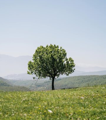 Designing with Foliage: Creating Lasting Beauty Beyond Flowers