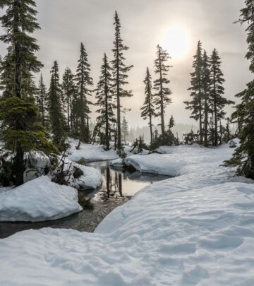 85+ Heartwarming Winter Quotes to Brighten the Coldest Days