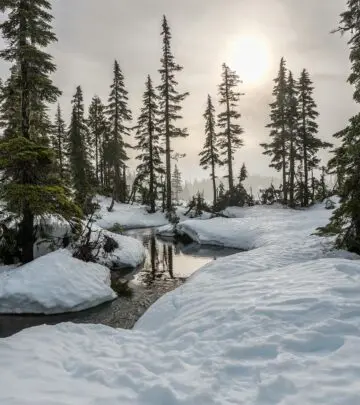 Discover beautiful winter quotes that capture the magic, reflection, and cozy moments of the season