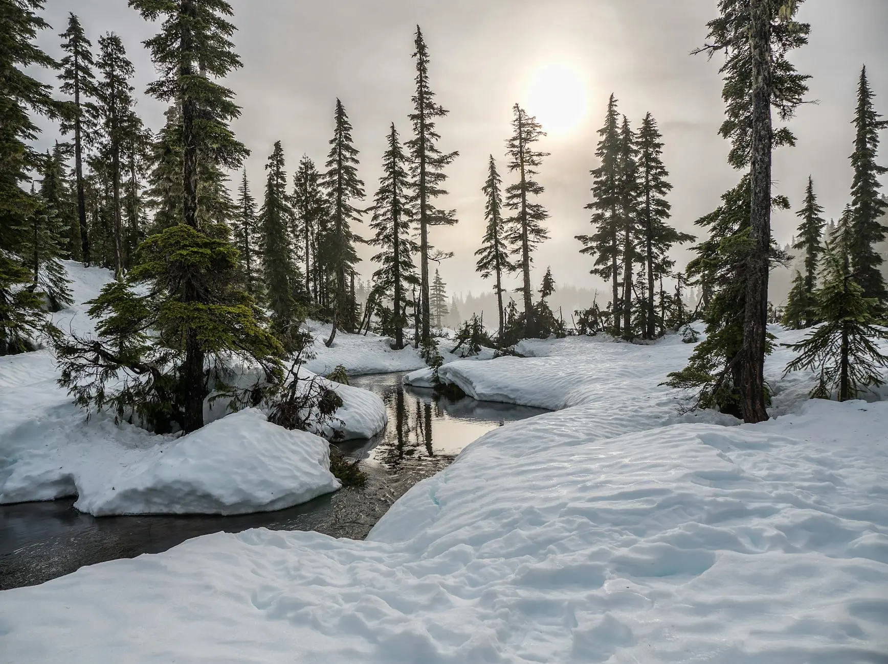 85+ Heartwarming Winter Quotes to Brighten the Coldest Days Discover beautiful winter quotes that capture the magic, reflection, and cozy moments of the season