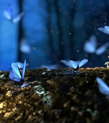 Discover the best butterfly quotes about transformation, beauty, and the magic of new beginnings.