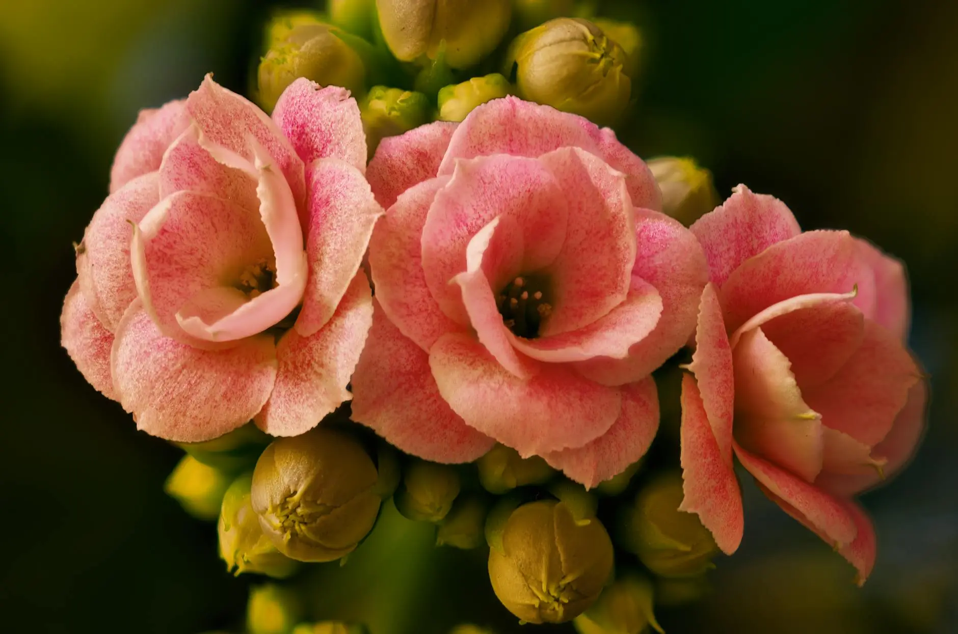 100 Heartfelt Mother’s Day Messages for Every Mom in Your Life Express your gratitude and love with these curated Mother's Day messages for every mom, grandma, wife, friend, and more.
