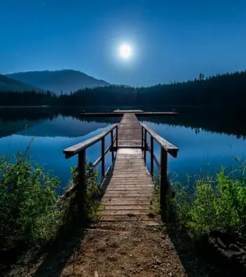 Wish your friends and family peaceful rest with these heartfelt goodnight quotes, messages, and soothing words for every night.