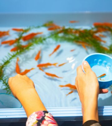 33 Creative Stock Tank Pool Ideas and Essential Design Tips