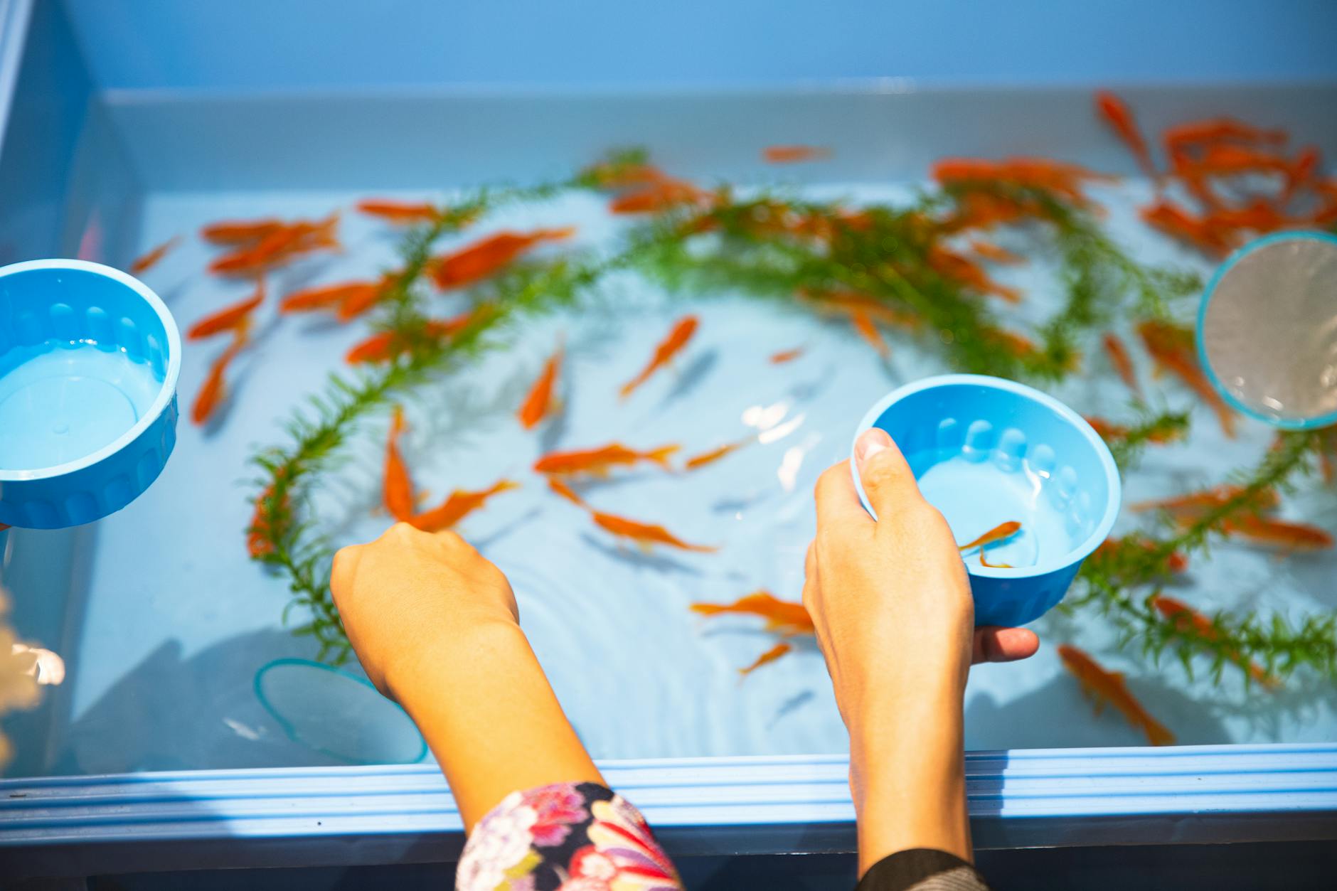 33 Creative Stock Tank Pool Ideas and Essential Design Tips_image