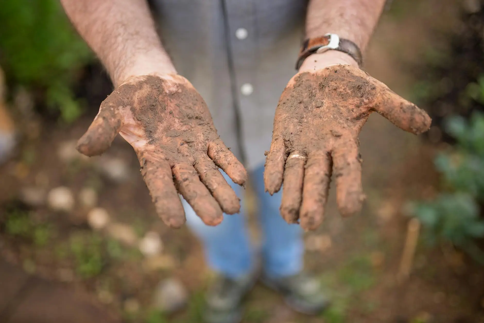 The Ultimate Guide to Garden Soil: Preparation, Types & Best Practices Unlock vibrant growth: Master garden soil preparation, discover soil types, and boost plant health with proven organic techniques.