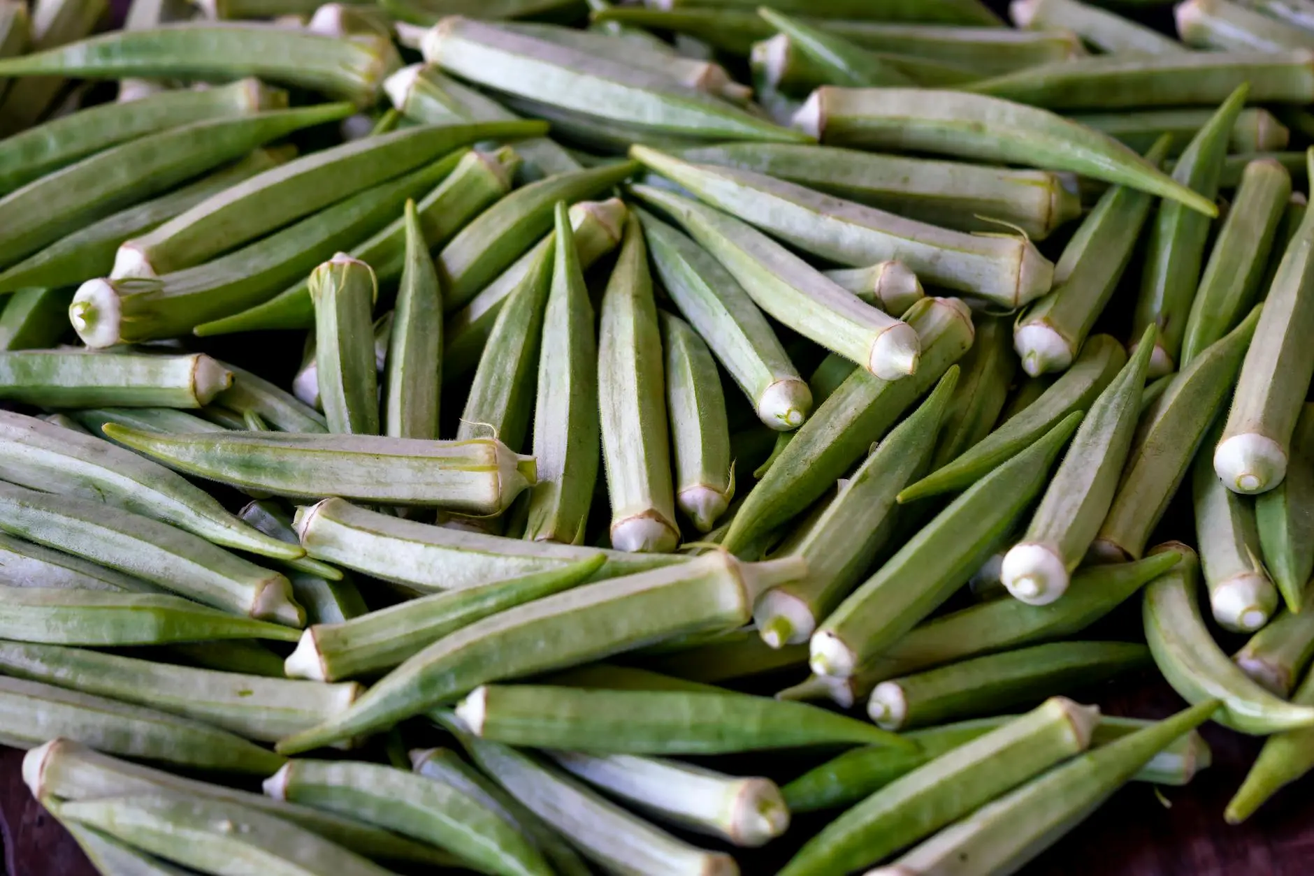 The Ultimate Guide to Roasted Okra: Simple, Delicious, and Healthy Discover the simple and delicious way to enjoy okra with this easy roasted okra recipe and expert tips for a perfect, non-slimy bite every time.