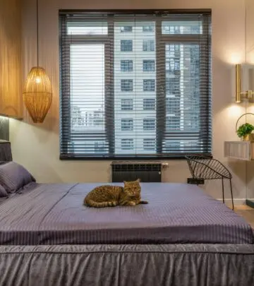 Explore the best cat-friendly hotels, tips for stress-free stays, and how the hospitality industry is embracing feline guests across the globe.