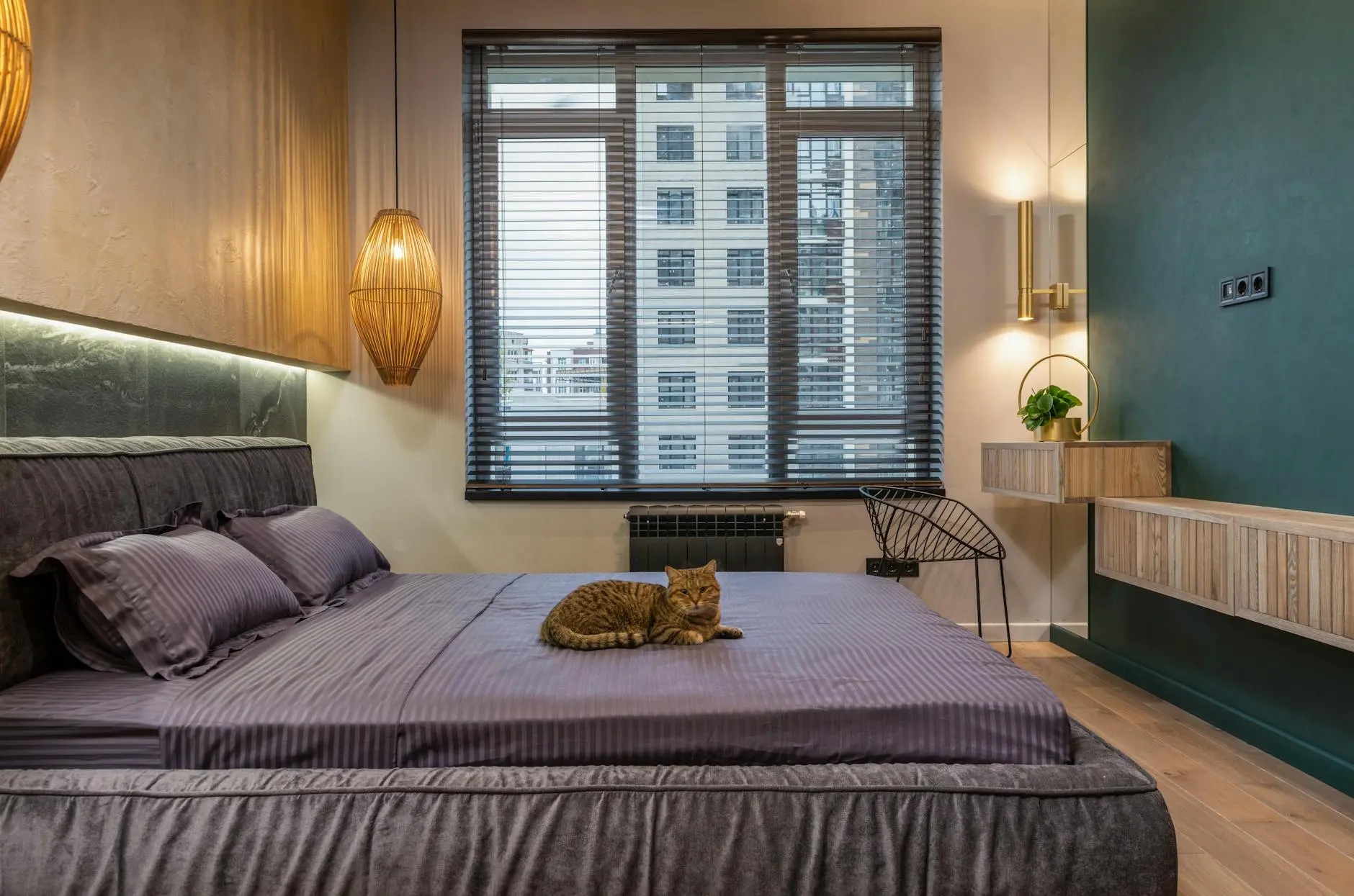The Ultimate Guide to Cat-Friendly Hotels: Traveling With Your Feline Companion Explore the best cat-friendly hotels, tips for stress-free stays, and how the hospitality industry is embracing feline guests across the globe.