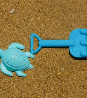 How one deformed turtle inspired global action against plastic pollution and raised awareness for wildlife conservation.