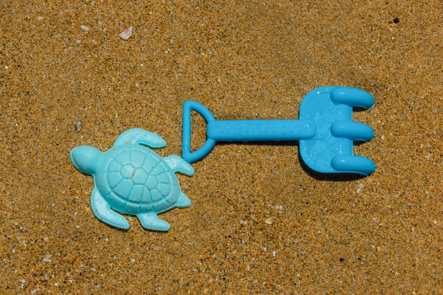 Peanut the Turtle: From Victim of Plastic to Environmental Icon How one deformed turtle inspired global action against plastic pollution and raised awareness for wildlife conservation.