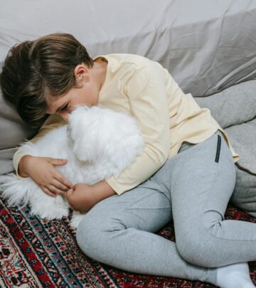 Maltese Dog Breed Guide: History, Traits, and Care