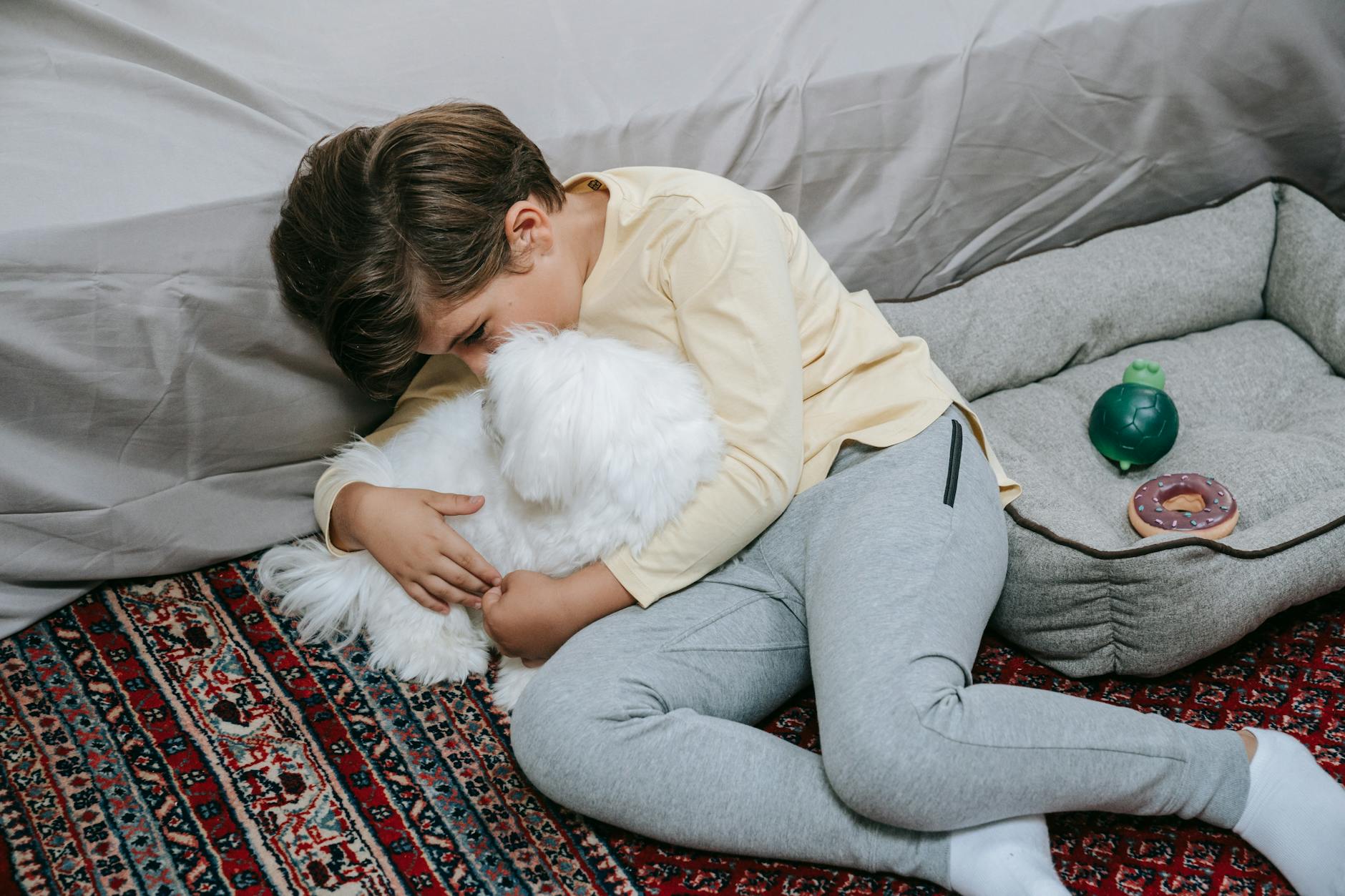 Maltese Dog Breed Guide: History, Traits, and Care_image