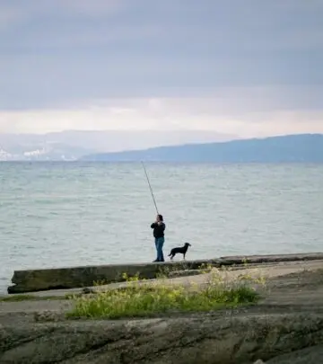 Discover a loyal guardian requiring gentle handling and dedicated daily attention.
