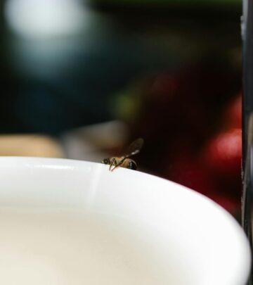 10 Tiny Bugs That Might Be Lurking in Your Home and Effective Elimination Methods