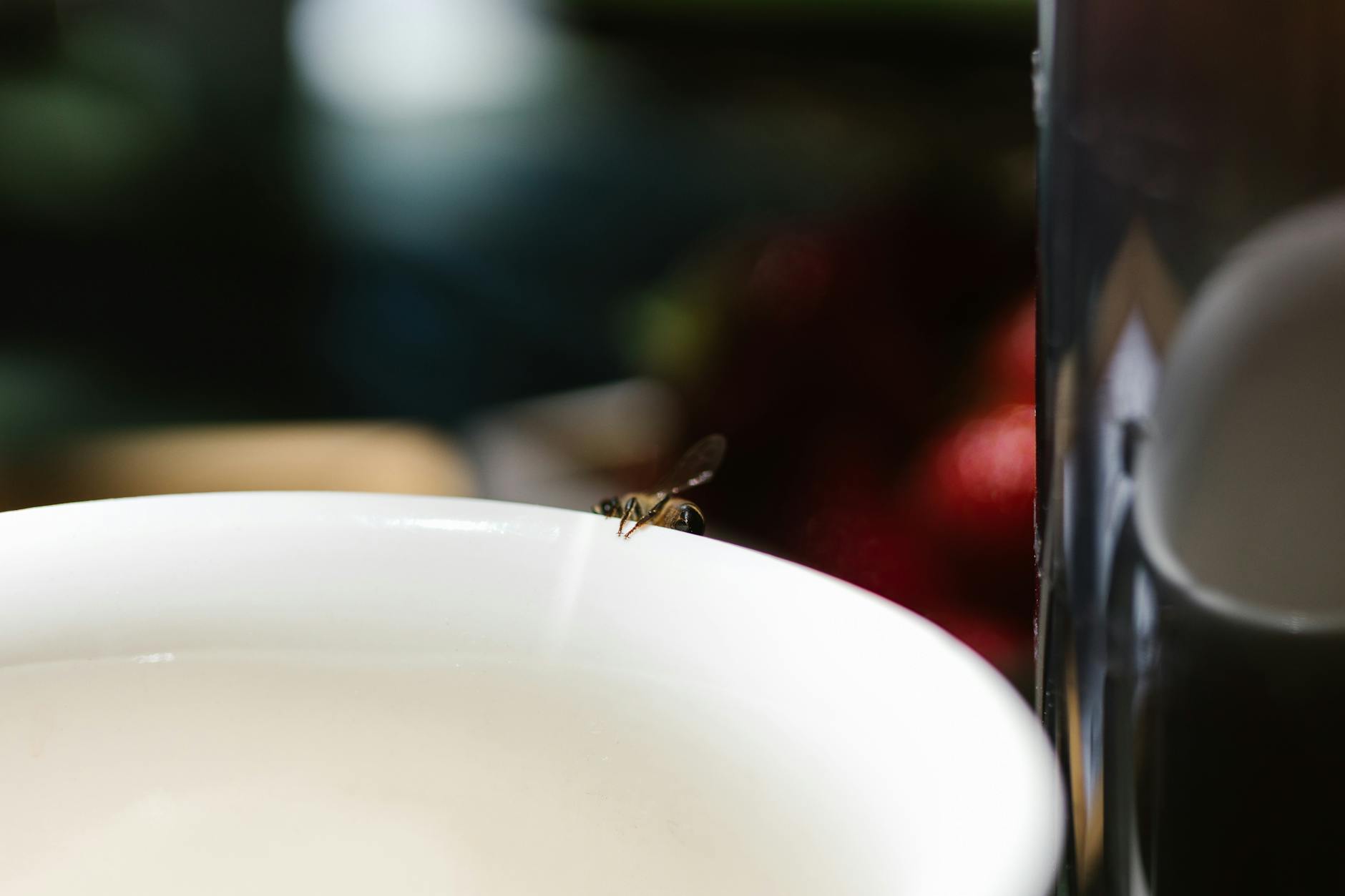 10 Tiny Bugs That Might Be Lurking in Your Home and Effective Elimination Methods 10 Tiny Bugs That Might Be Lurking in Your Home and Effective Elimination Methods_image
