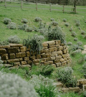 Hillside Landscaping: Creative Solutions for Beautiful and Functional Sloped Gardens