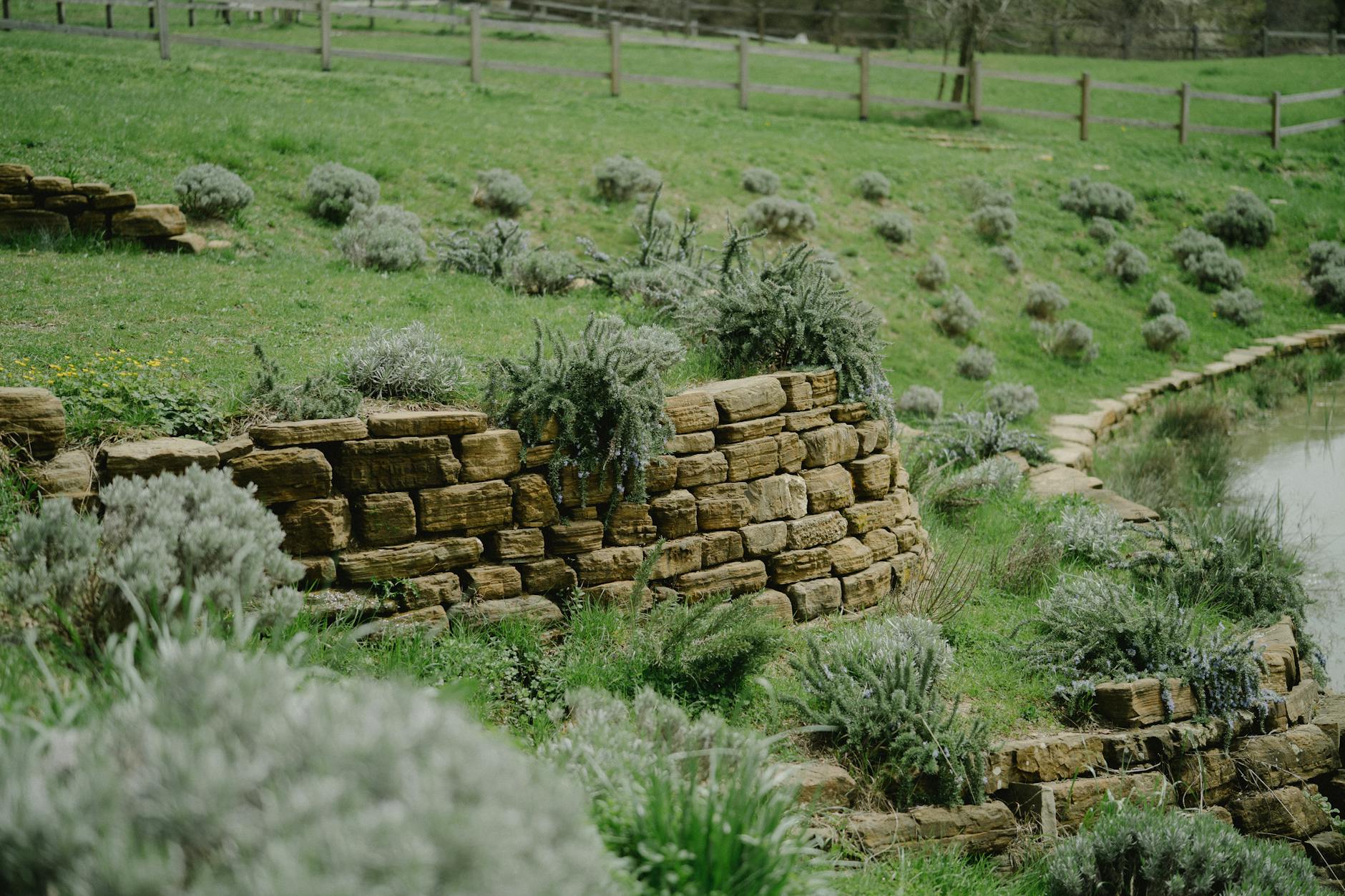 Hillside Landscaping: Creative Solutions for Beautiful and Functional Sloped Gardens Hillside Landscaping: Creative Solutions for Beautiful and Functional Sloped Gardens_image