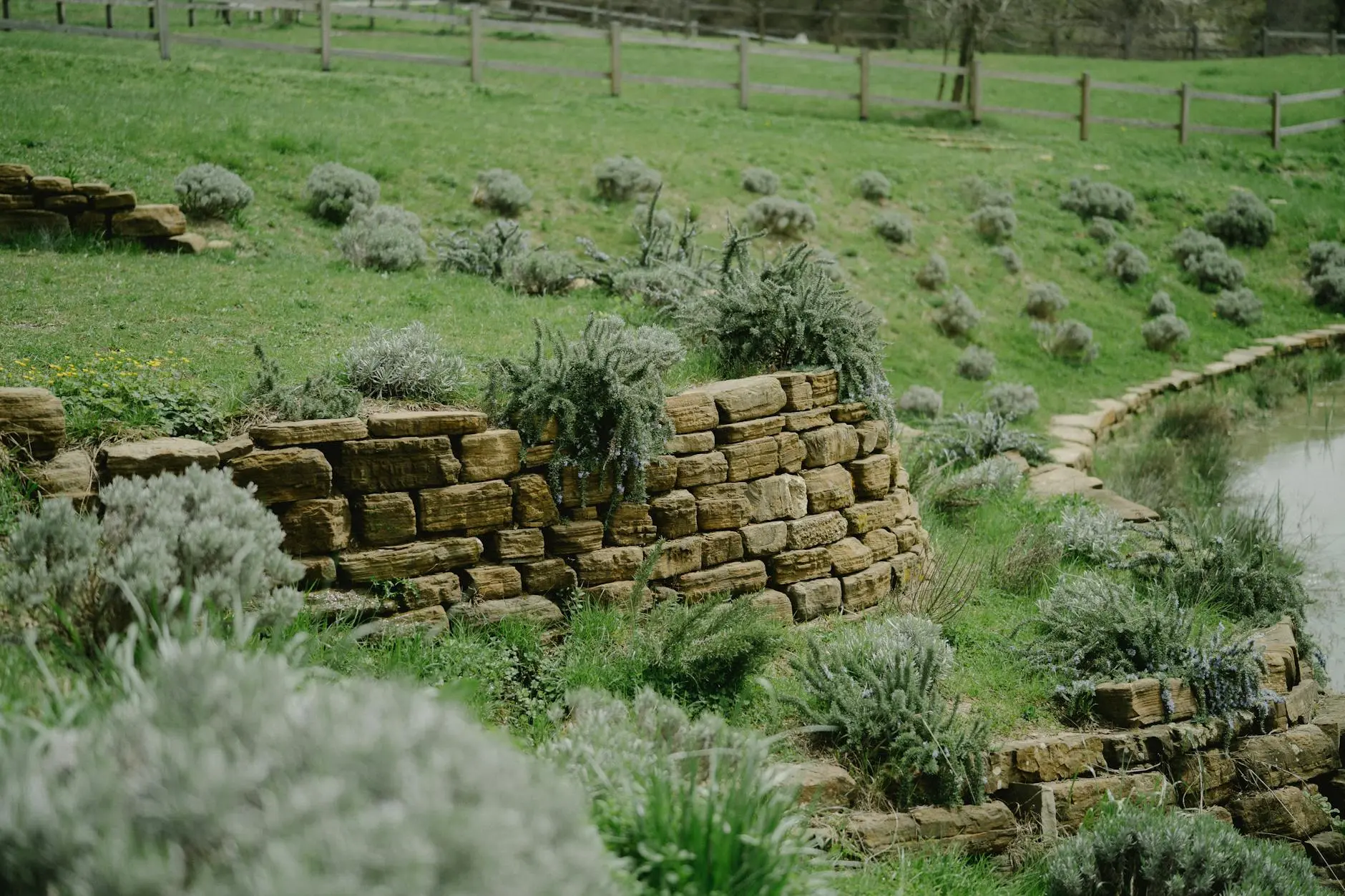 Transform uneven terrain into vibrant outdoor spaces with expert slant gardening tips.