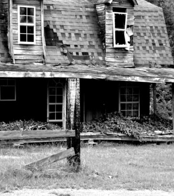Roof Repair: How to Find and Fix Roof Leaks