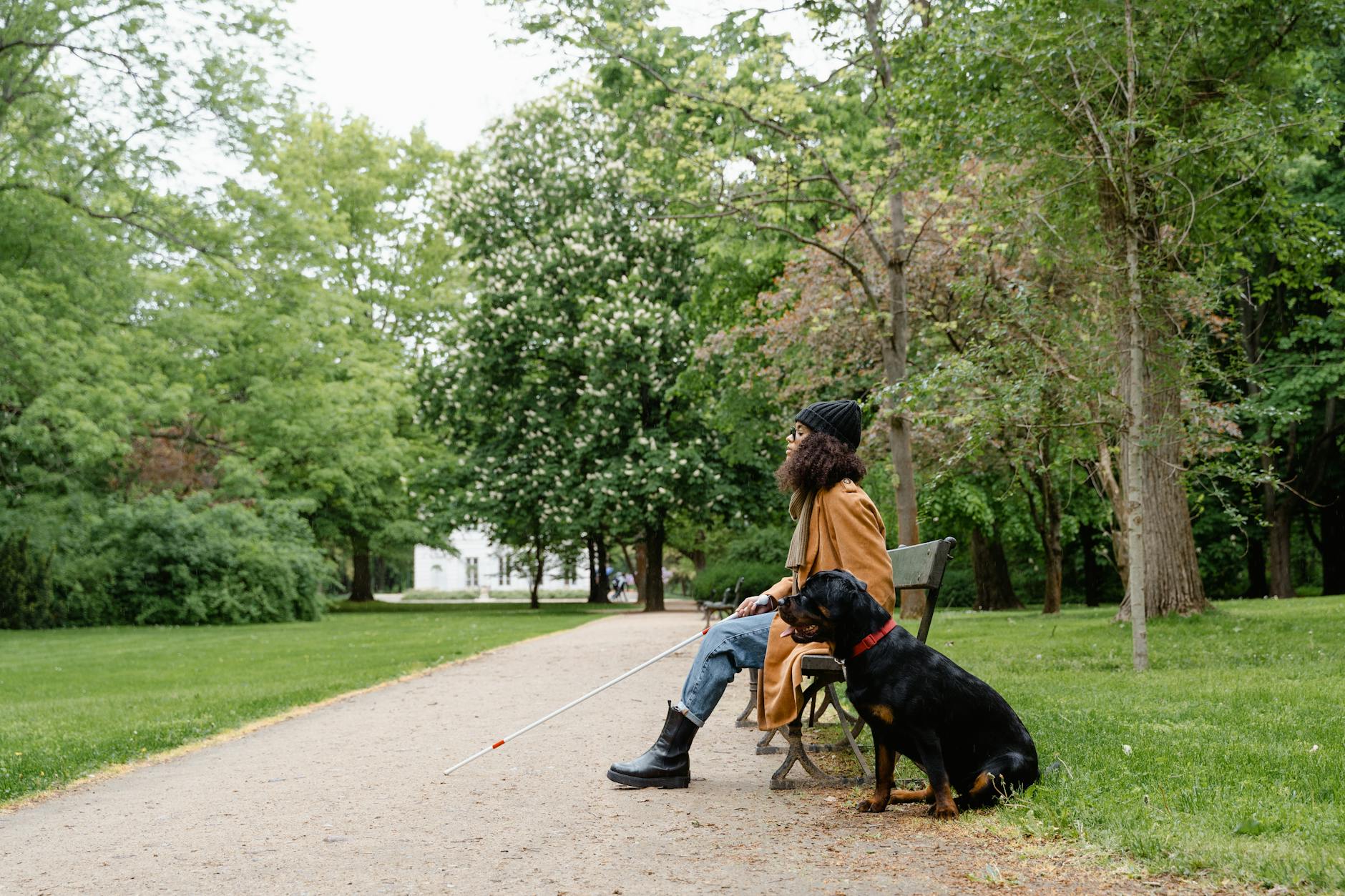 Hypoallergenic Dogs: Separating Fact from Fiction for Allergy Sufferers Hypoallergenic Dogs: Separating Fact from Fiction for Allergy Sufferers_image