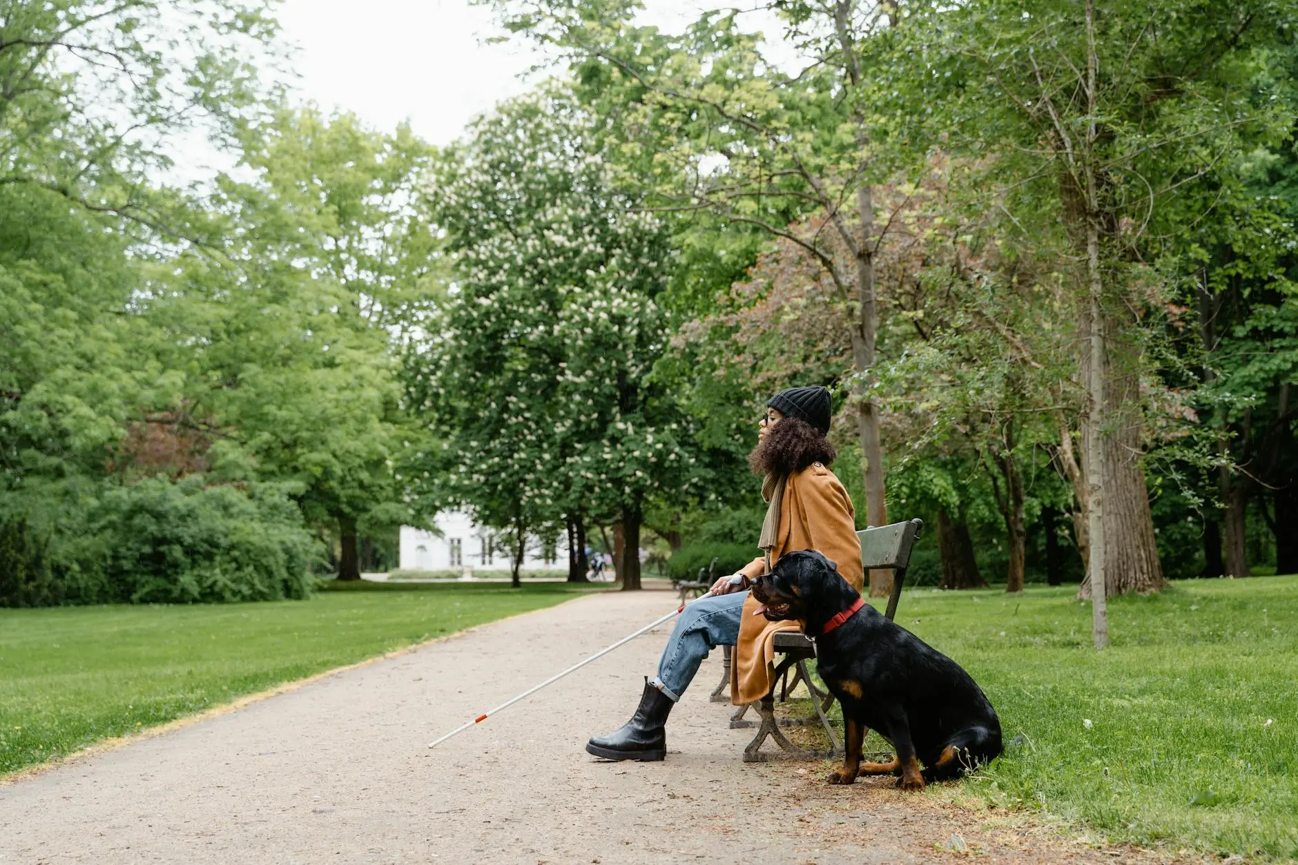 Best Hypoallergenic Dog Breeds: 12 Allergy-Friendly Picks Discover which breeds truly minimize reactions and myths surrounding allergy triggers.
